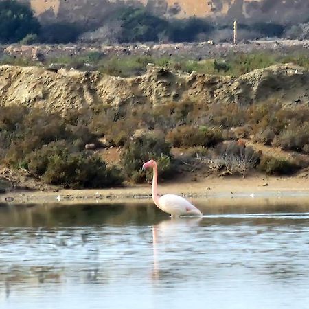 Flamingos View Apartment In Cabo De Gata El Pozo del Cabo Kültér fotó